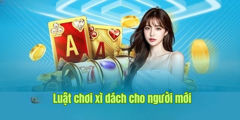 Cách Chơi Bài Xì Dách - Quy Trình Cá Cược Hấp Dẫn Tại Sin88 1 Tìm hiểu về luật chia bài trong cá cược xì dách