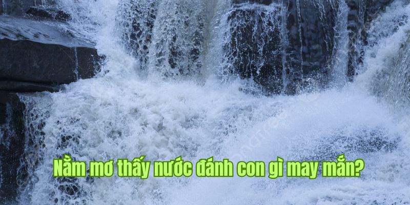 Nằm Mơ Thấy Nước Sin88 Tín Hiệu Vũ Trụ Gửi Tới Cho Gia Chủ 3 Tổng hợp những con đề cực chuẩn xác về chiêm bao này