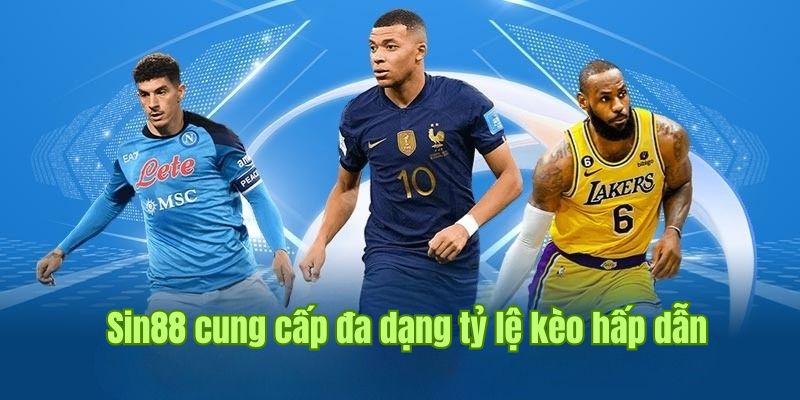 THỂ THAO 2 Giới thiệu về một số kèo nhà cái phổ biến tại sân chơi